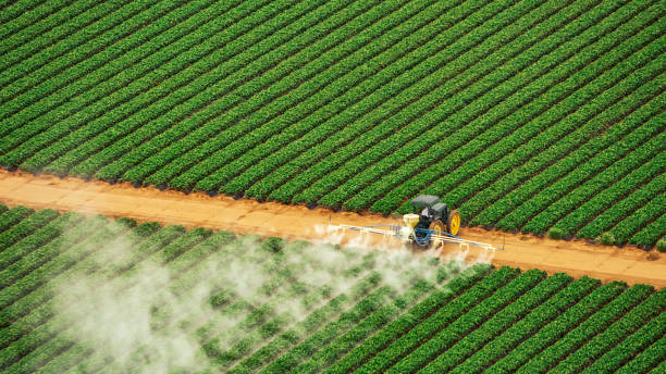 Insect Control in Brices Creek, NC