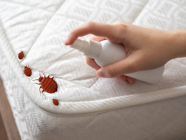 Best Best Pest Control Near Me  in Brices Creek, NC
